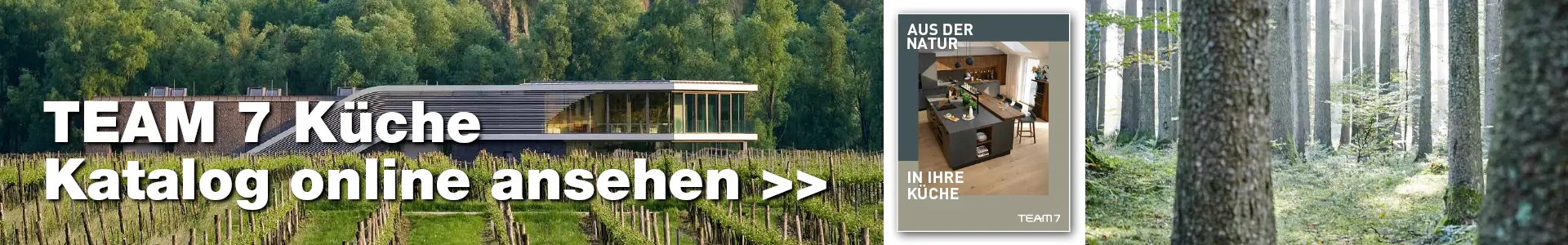 Team 7 Katalog Cover Modernes Haus in der Natur